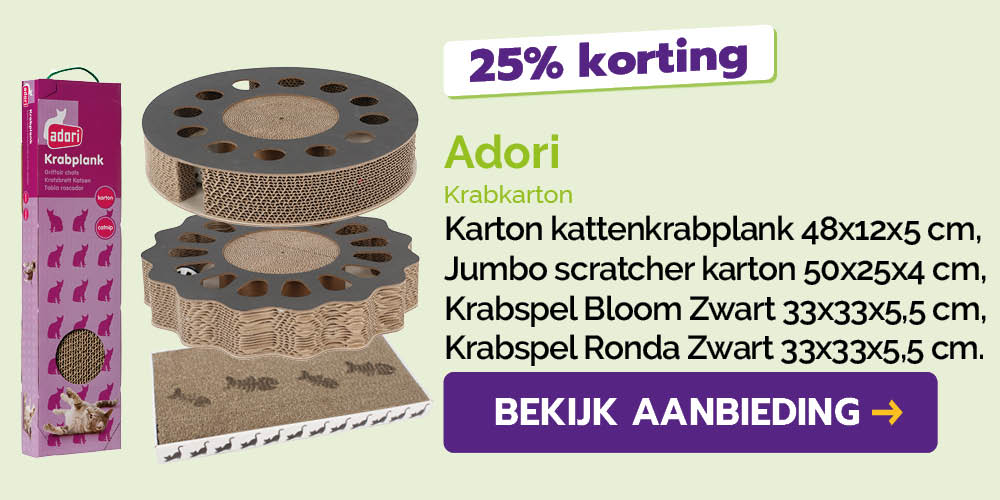 Dagaanbieding