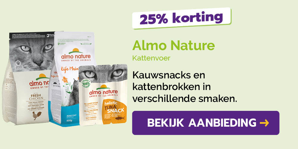 Dagaanbieding
