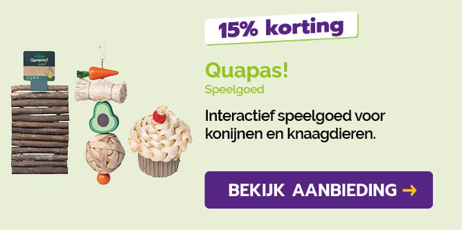 Dagaanbieding