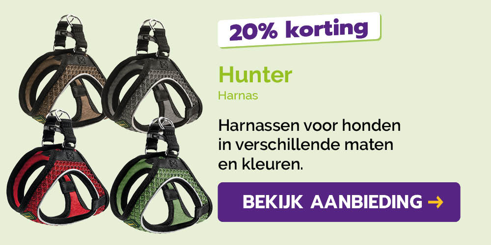Dagaanbieding