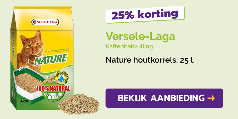 Dagaanbieding