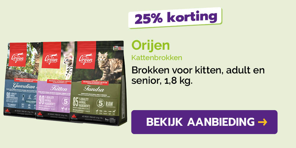 Dagaanbieding