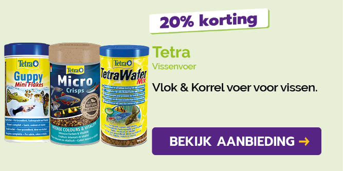 Dagaanbieding