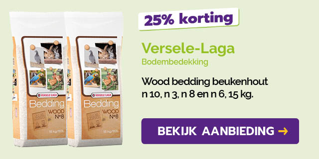 Dagaanbieding
