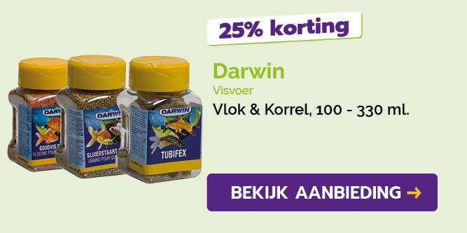 Dagaanbieding