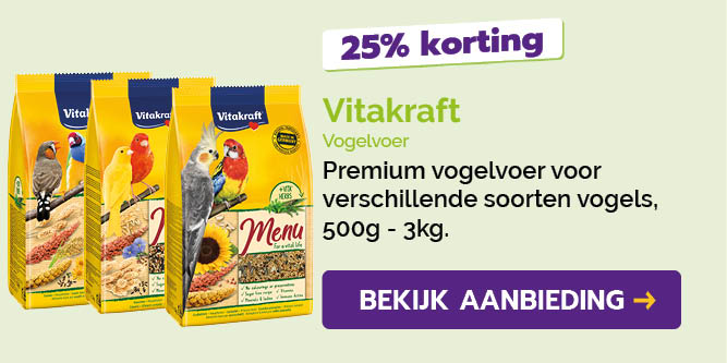 Dagaanbieding