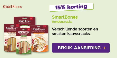 Dagaanbieding