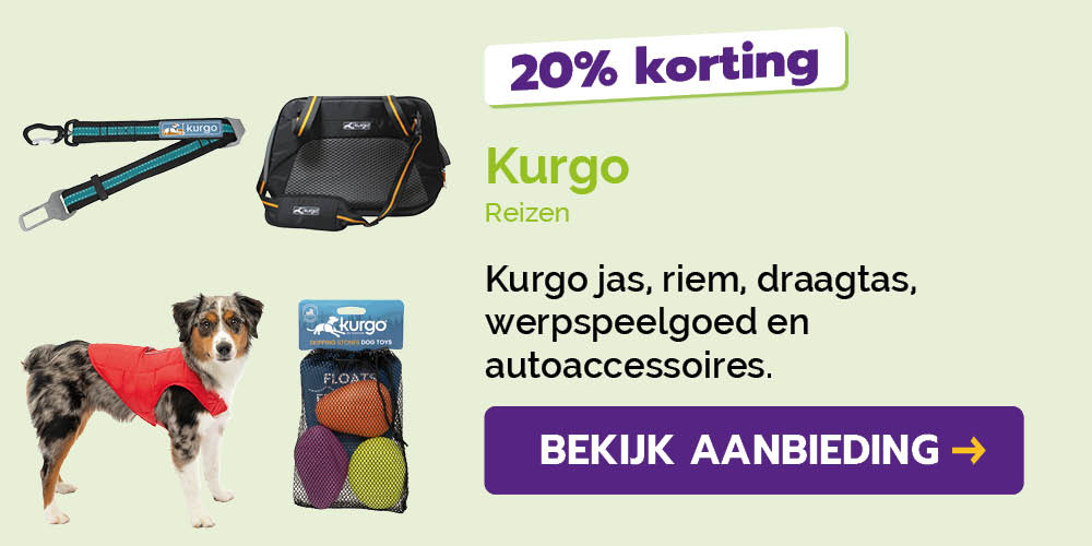 Dagaanbieding