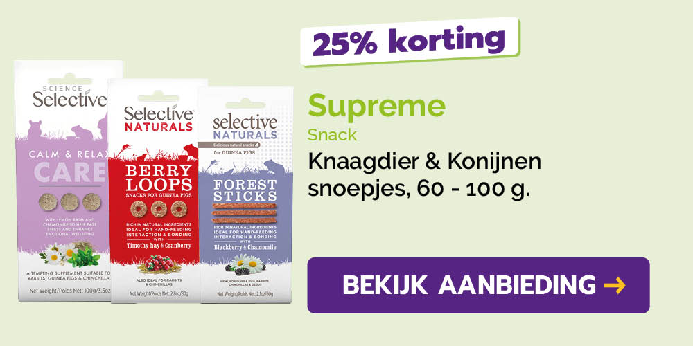 Dagaanbieding
