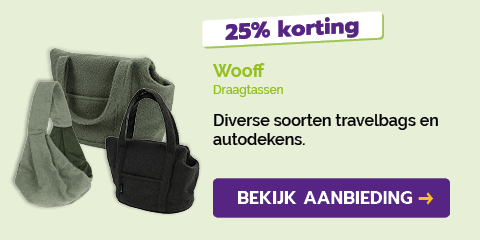 Dagaanbieding