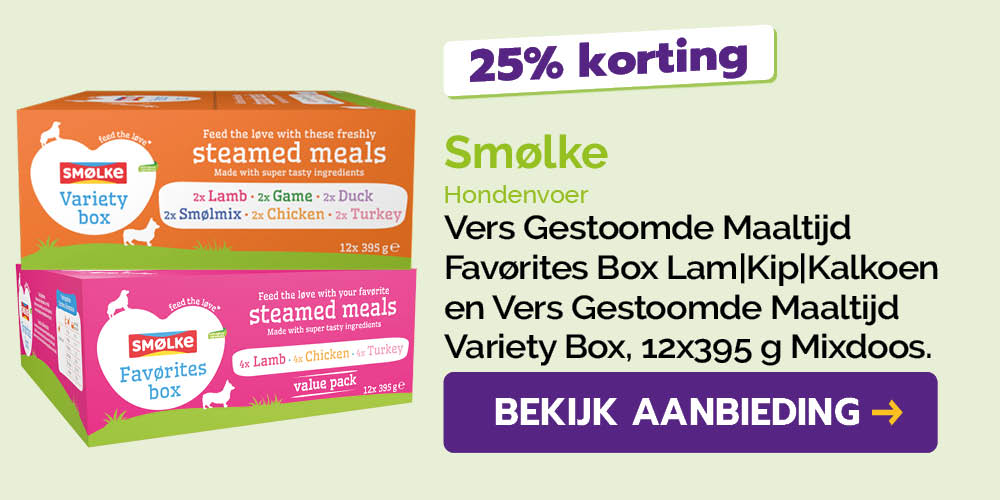 Dagaanbieding