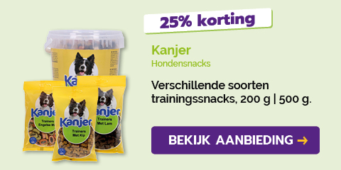 Dagaanbieding