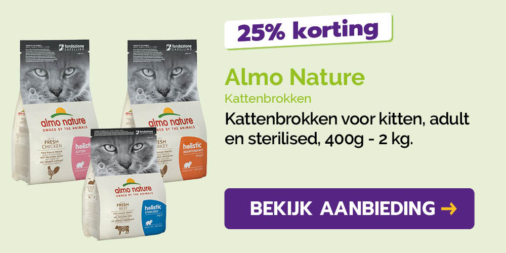 Dagaanbieding