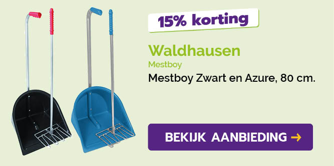 Dagaanbieding