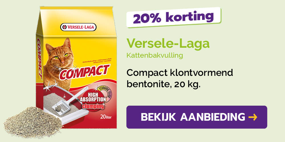 Dagaanbieding
