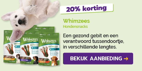 Dagaanbieding