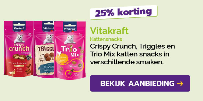 Dagaanbieding