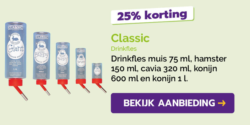 Dagaanbieding