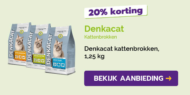 Dagaanbieding