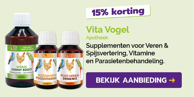 Dagaanbieding