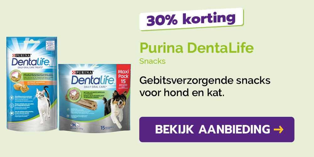 Dagaanbieding