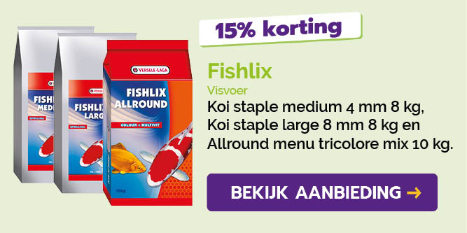 Dagaanbieding
