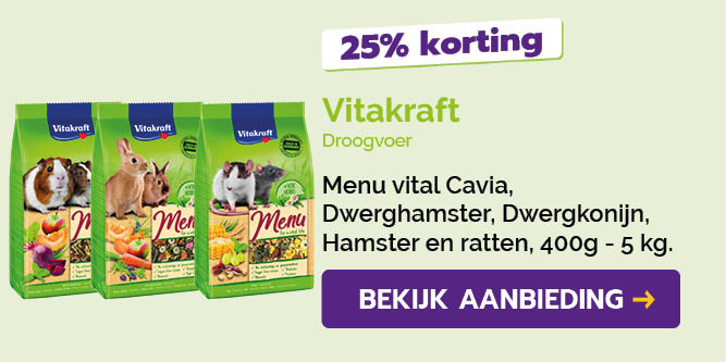 Dagaanbieding