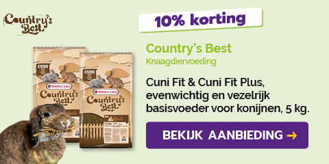 Dagaanbieding