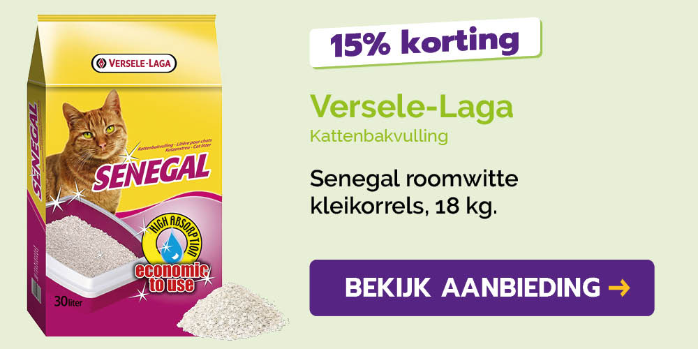 Dagaanbieding