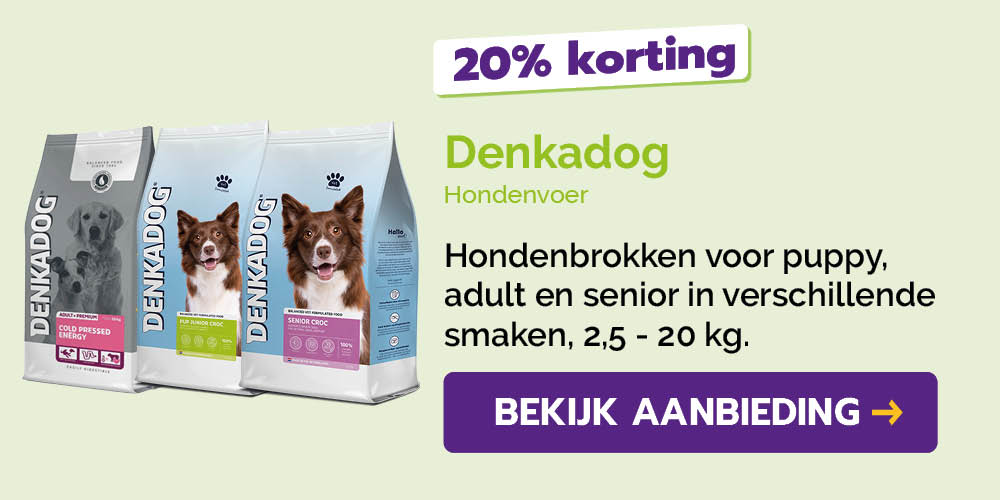 Dagaanbieding