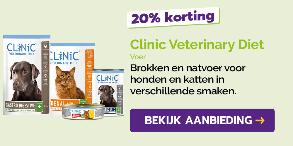 Dagaanbieding