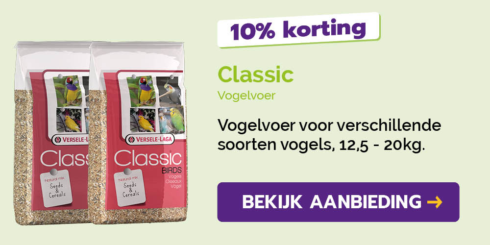 Dagaanbieding