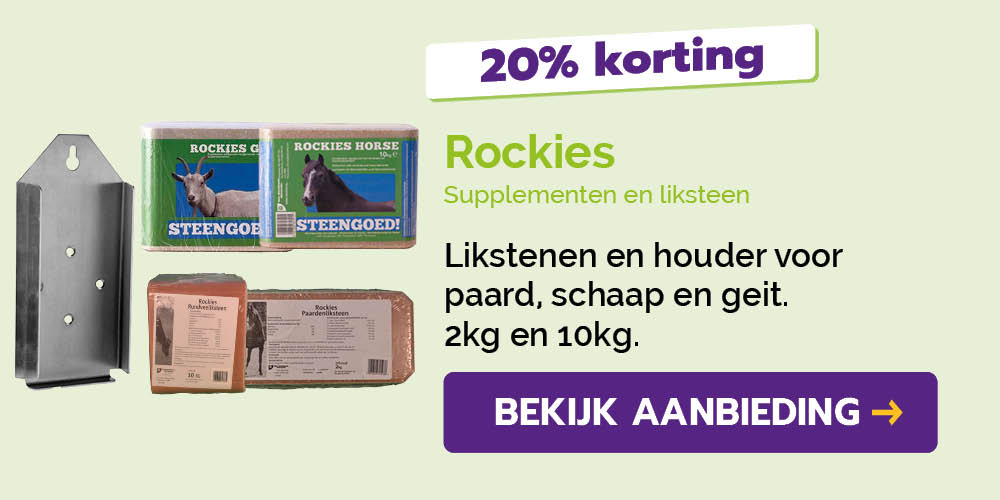 Dagaanbieding