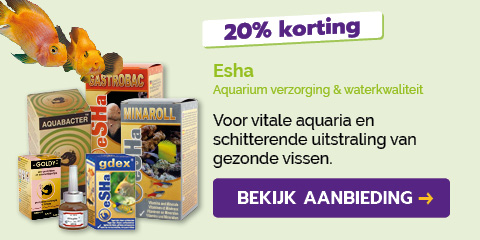 Dagaanbieding