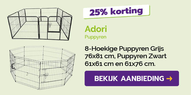 Dagaanbieding