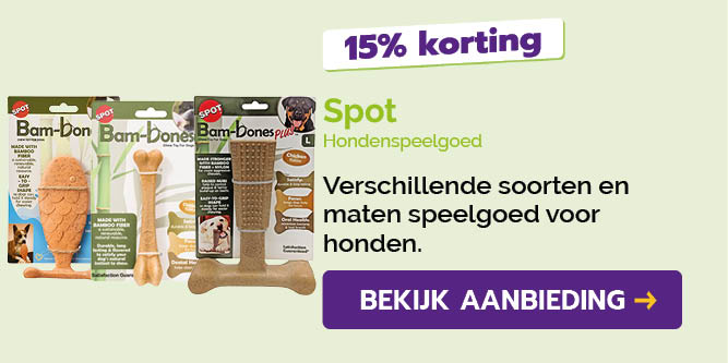 Dagaanbieding