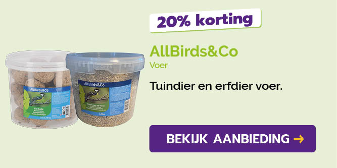 Dagaanbieding
