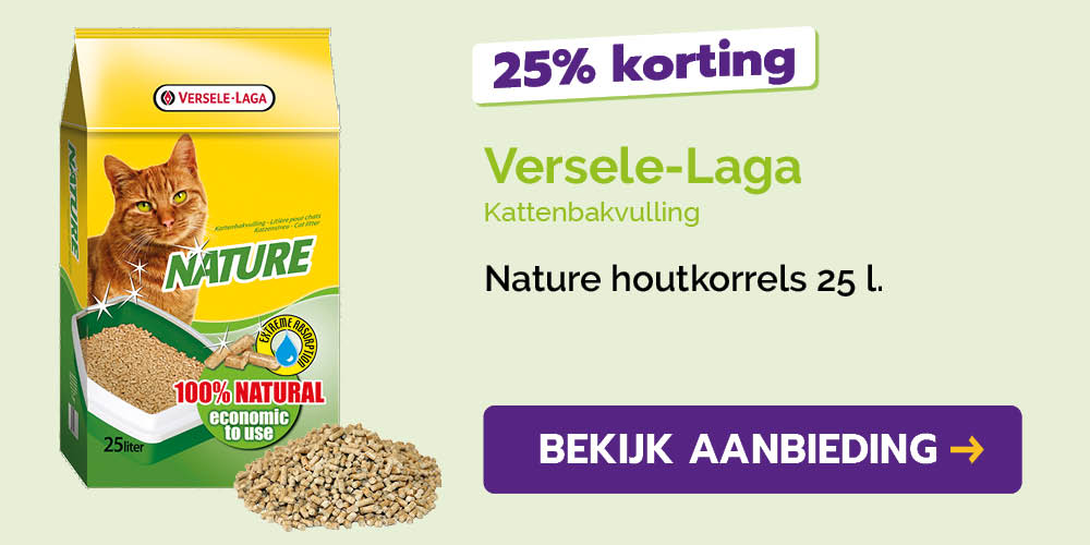 Dagaanbieding
