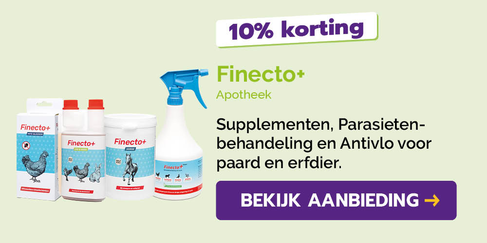 Dagaanbieding