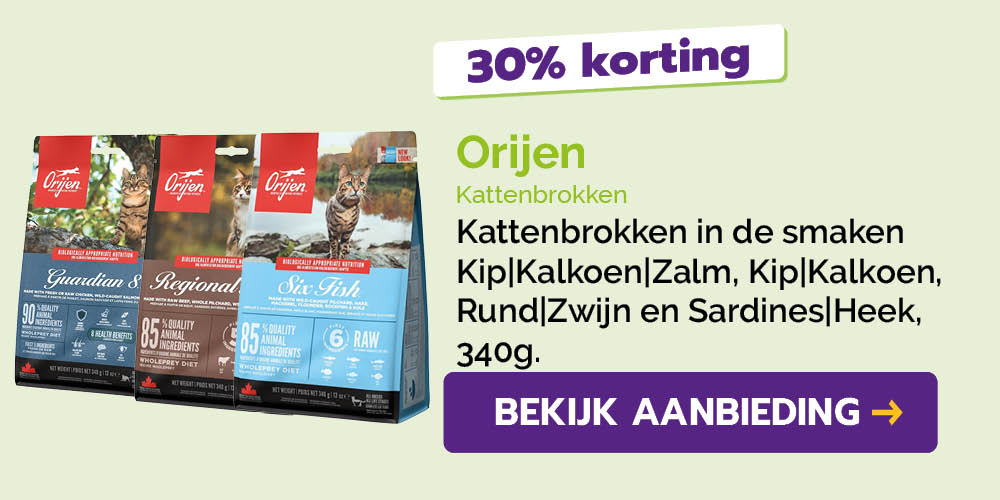 Dagaanbieding