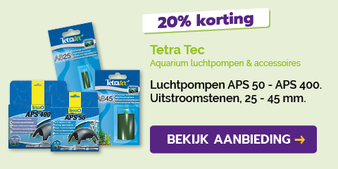 Dagaanbieding