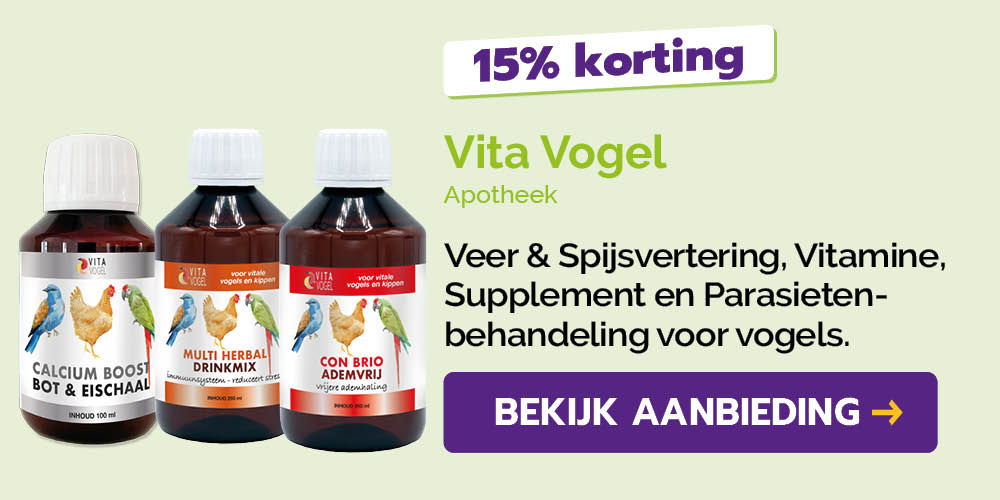 Dagaanbieding