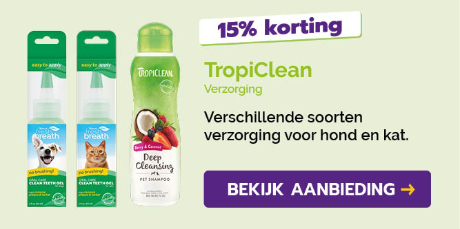 Dagaanbieding