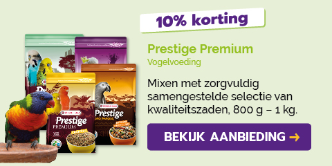 Dagaanbieding