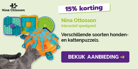 Dagaanbieding