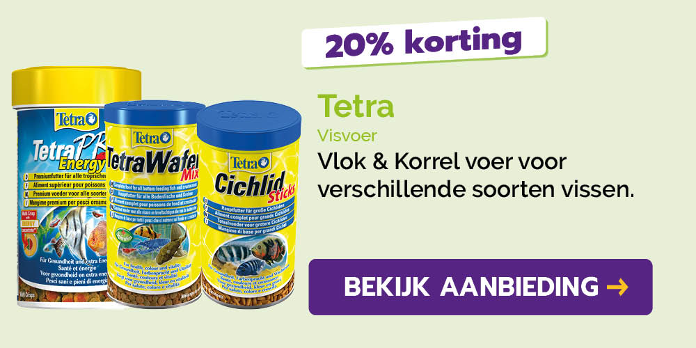 Dagaanbieding