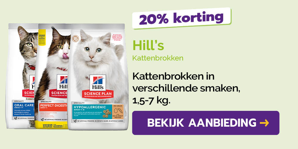 Dagaanbieding