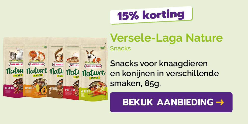 Dagaanbieding