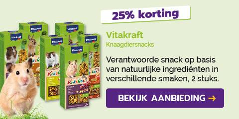 Dagaanbieding