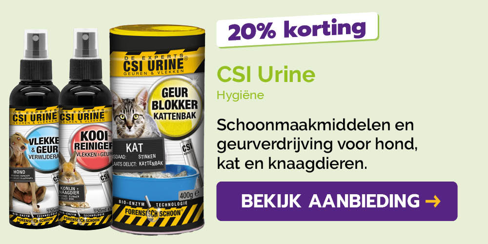 Dagaanbieding